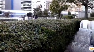 国产亚洲精品小说,成人视频高清免费观看